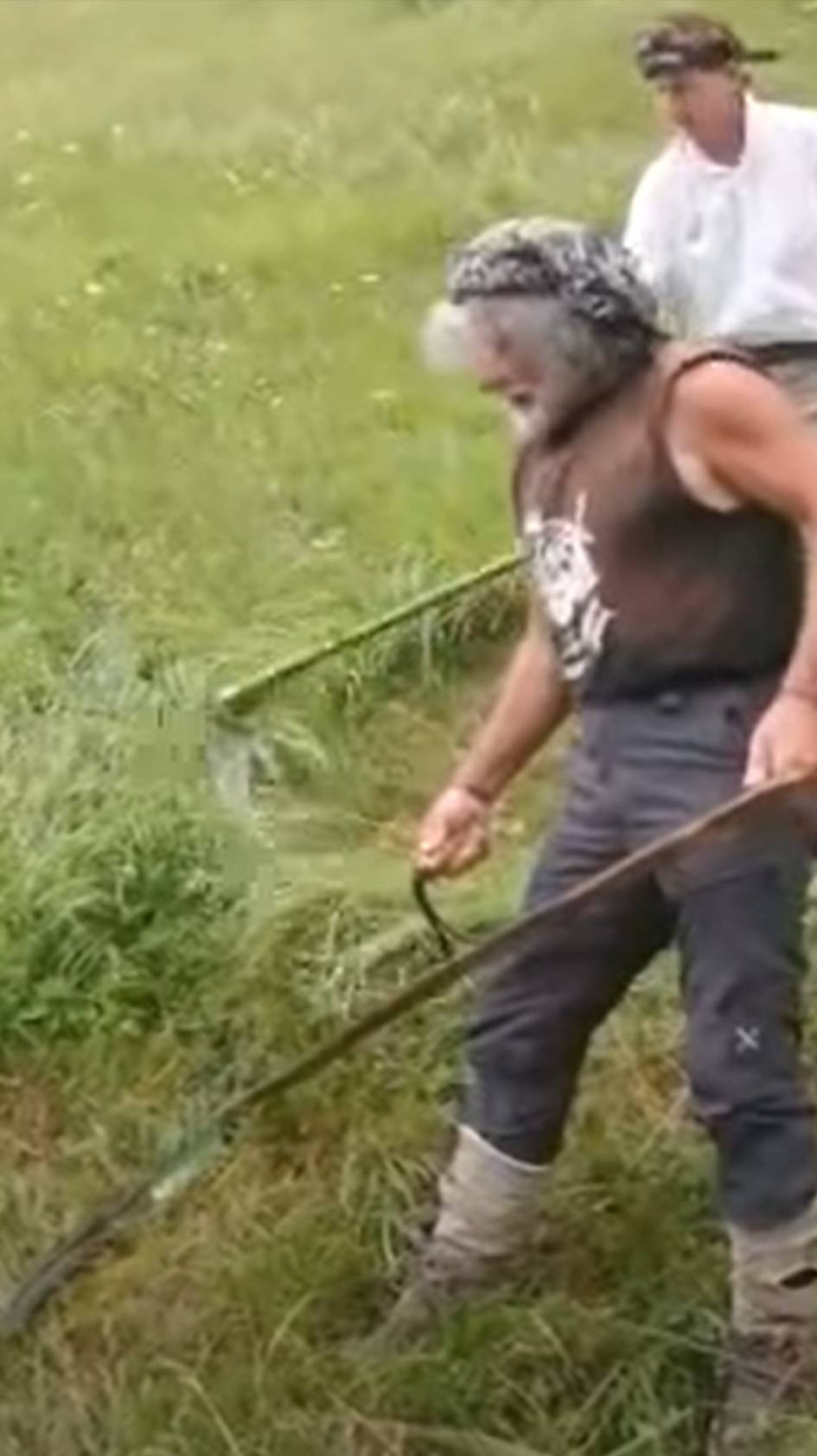 Подстрижка газона ручной косой литовкой