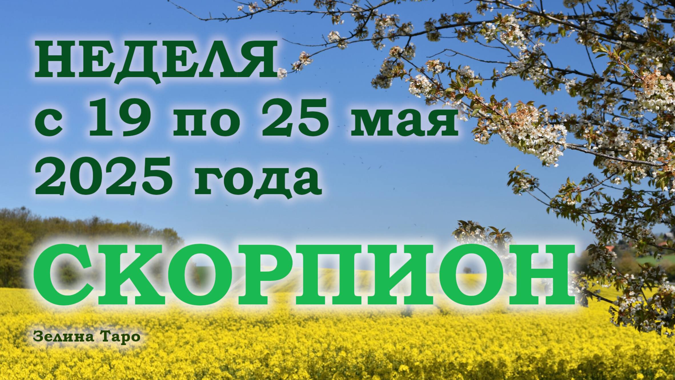 СКОРПИОН | ТАРО прогноз на неделю с 19 по 25 мая 2025 года