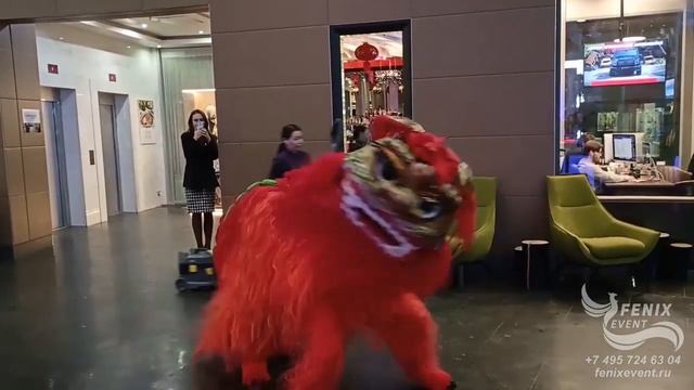 Китайский лев на мероприятие и встречу гостей в Москв?