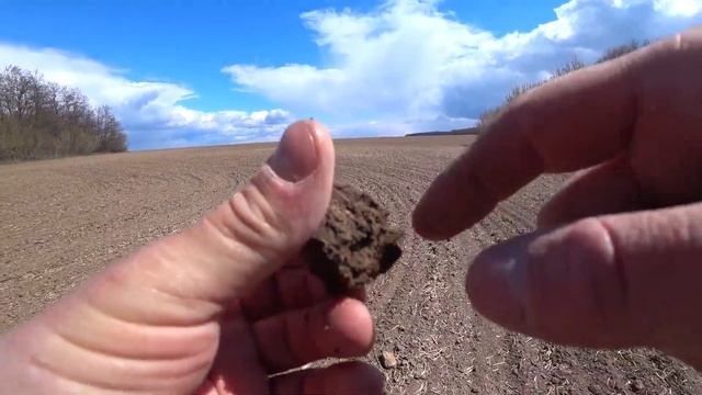 Хутор царя Николая. Nokta Makro Simplex Plus. смотреть онлайн