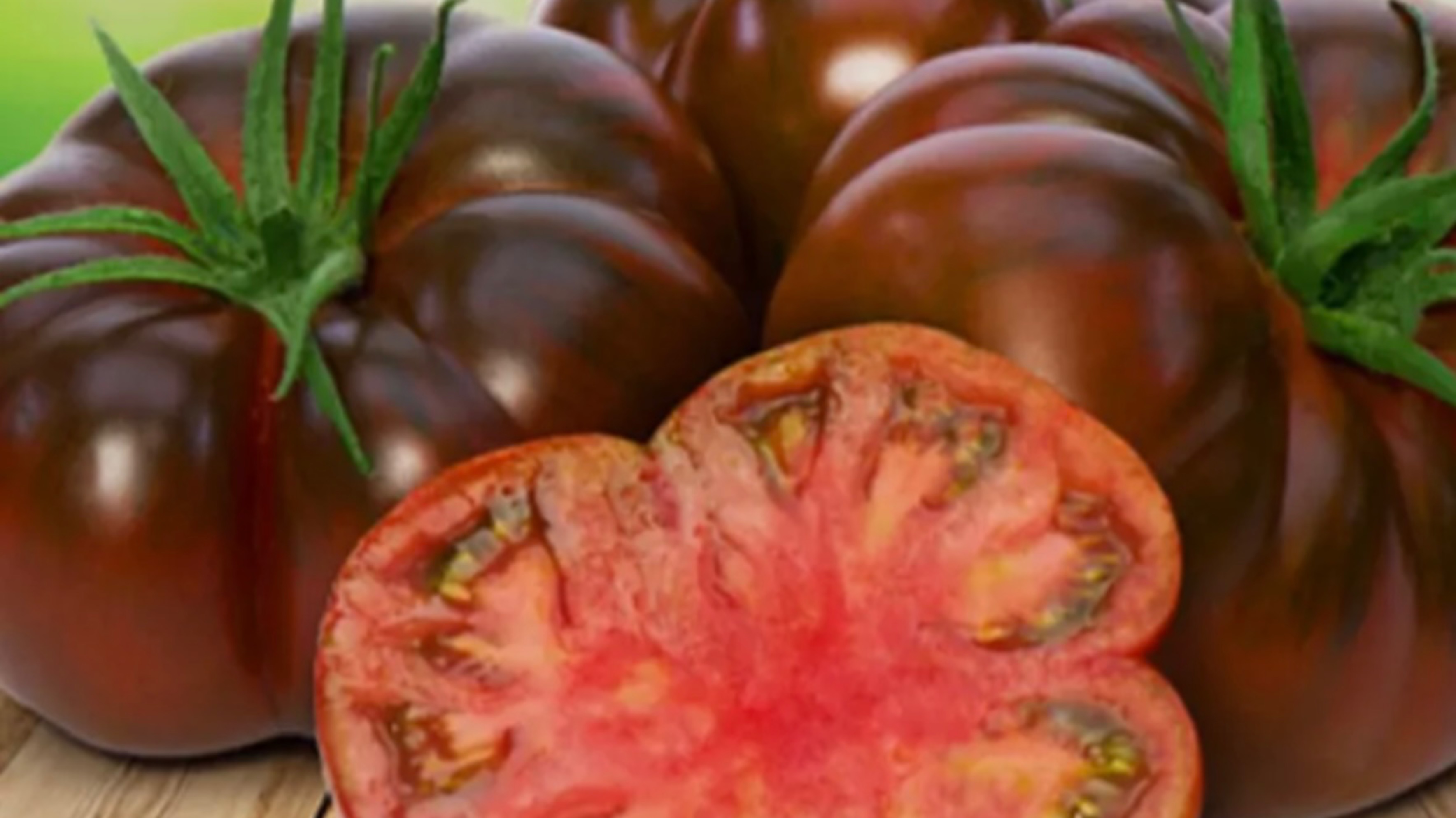 Как посадить рассаду томатов в открытый грунт 18 мая 2025 г.  Обучающий ролик. Тульская область