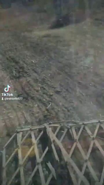 борона до т25#т25 #борона #трактор #трактористы #село смотреть онлайн