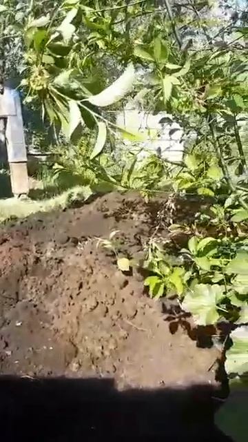 Бурение колодца Московская область смотреть онлайн