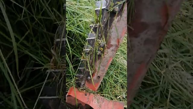 Амжк 8 с сегментной косилкой от мтз смотреть онлайн