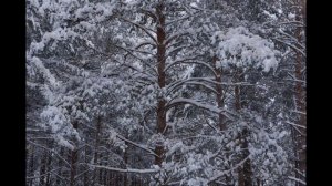 Оркестр Джеймса Ласта - Наденька