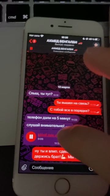 ВЕНГАЛБИ НАПИСАЛ?! Это точно не сон! 😱💌 TГ PAPAJETBOT #surprise смотреть онлайн