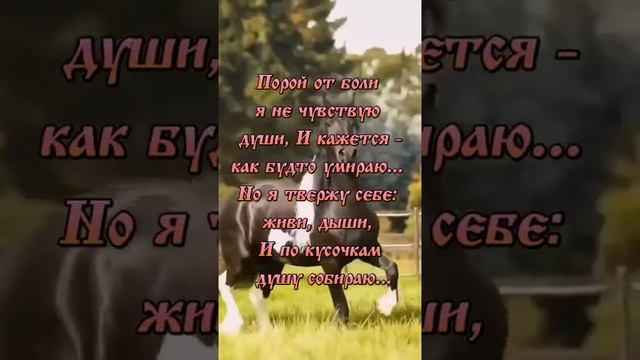 Какие мудрые слова, точнее и не скажешь(видео с инета) смотреть онлайн