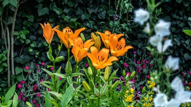 Любовь порождает любовь. Жанна Бронн - 74