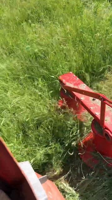 Косилка лисички #russia #т25 смотреть онлайн