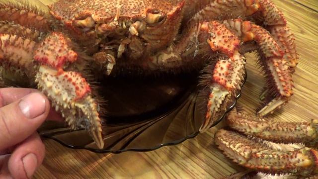 краб волосатик смотреть онлайн