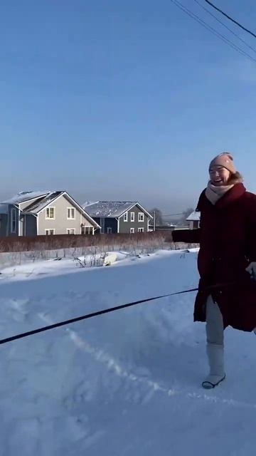 Что такое счастье #amstaff #shortvideo #pitbull #staff #shorts смотреть онлайн