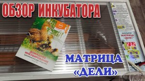 Распаковка и обзор инкубатора Матрица Дели