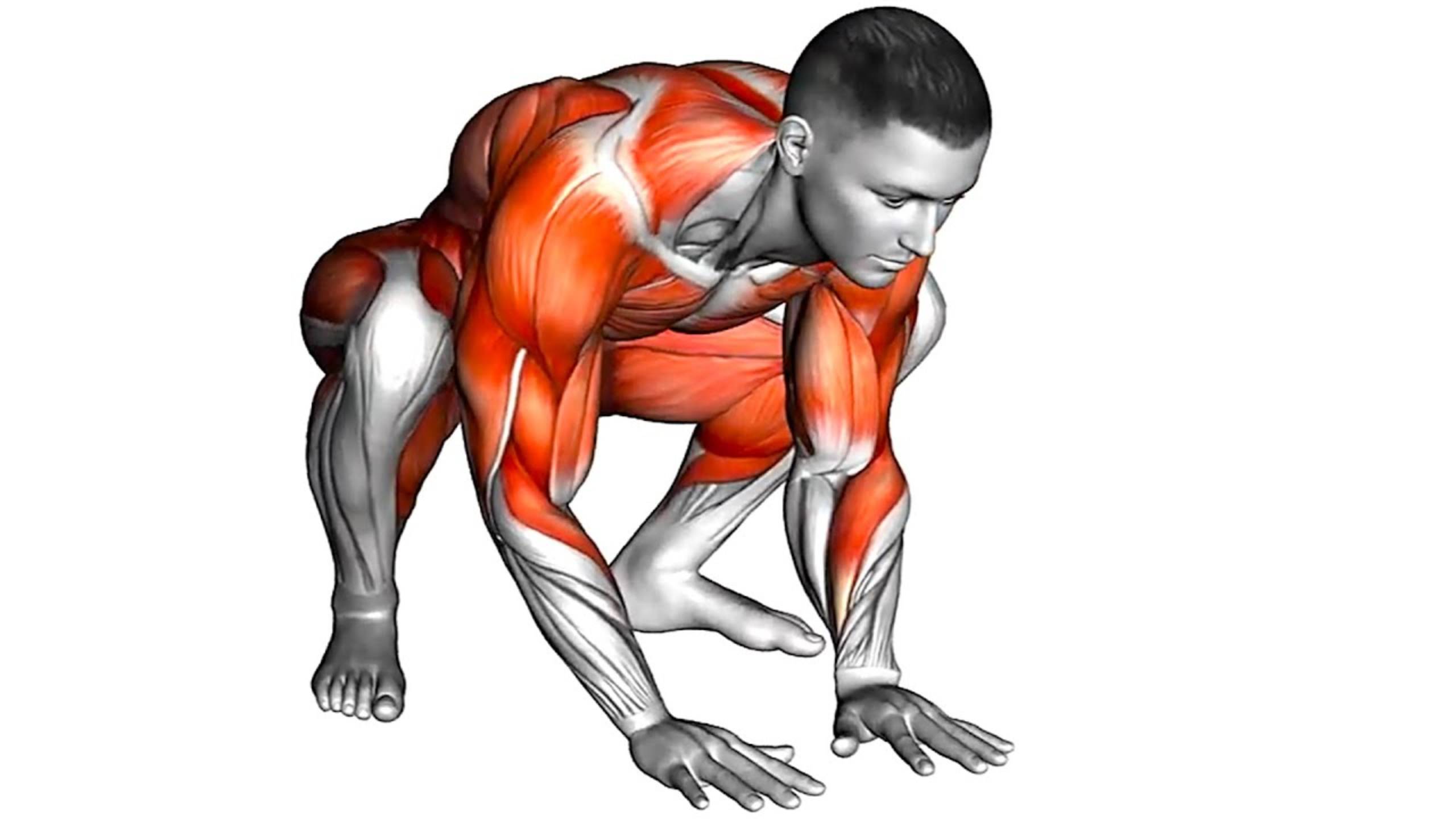 5-минутная Тренировка для Сжигания ЖИРА всего тела смотреть онлайн