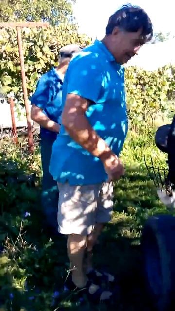 Зид пробный заезд. смотреть онлайн