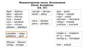 5) Множественное число имён существительных. Русский к