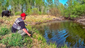 Кабанье болото кишит от карасей! Нашли озеро в самых диких местах. Рыбалка на поплавок