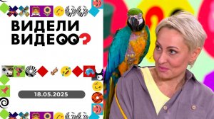 Видели видео? Выпуск от 18.05.2025