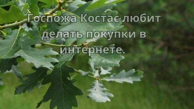 СЛУШАТЬ 60 ФРАЗ НА НЕМЕЦКОМ УРОВНЯ А2! ТЕМА Medien! Часть 1. A смотреть онлайн