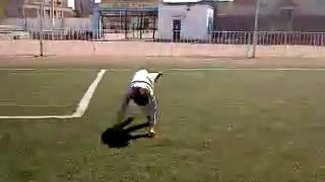 Кокшесити 2 смотреть онлайн