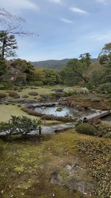 💖 Сад Murin-an, Киото, Япония