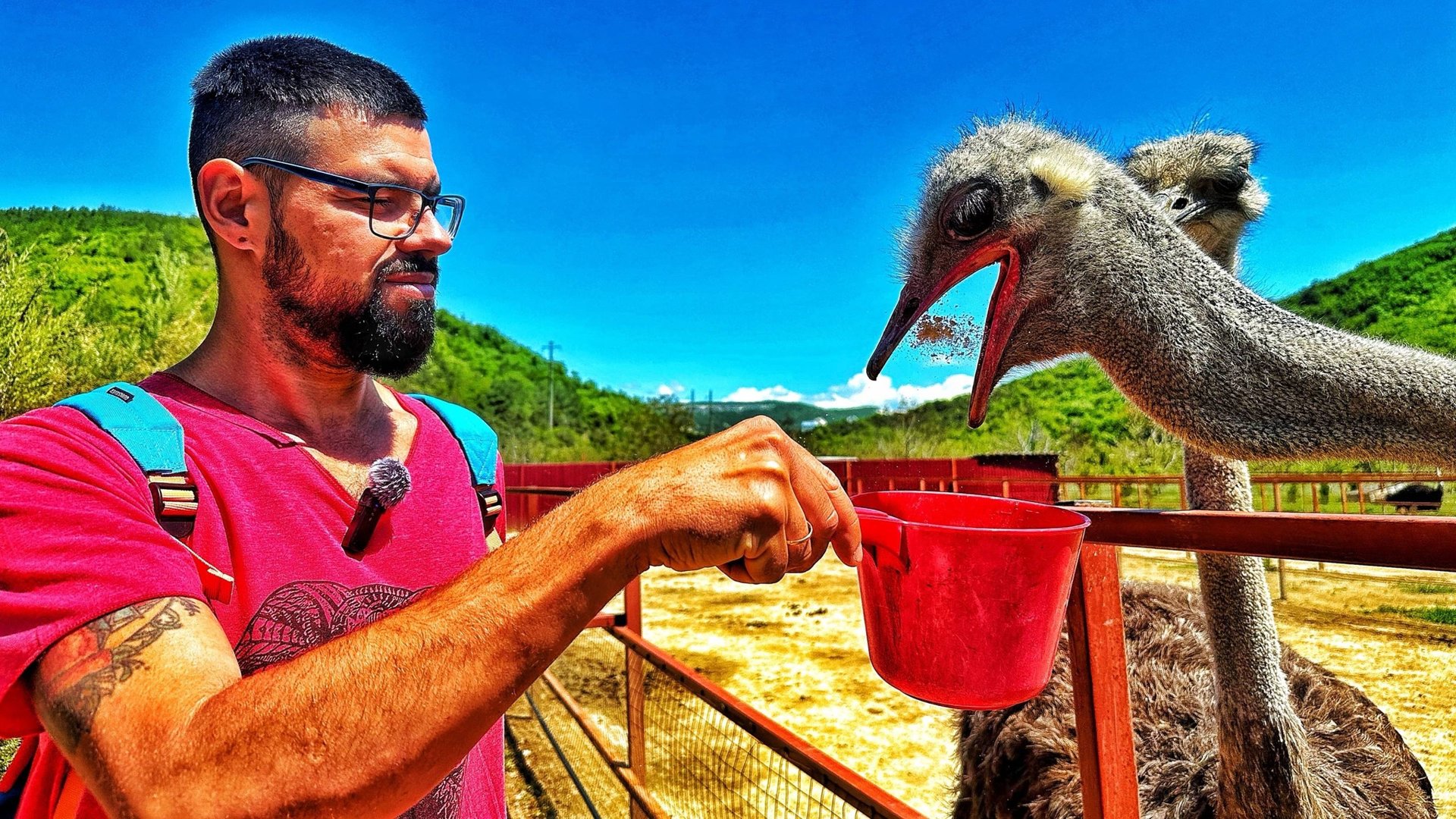 Крым отдых 2025. Где найти маковые поля? Пещерный монастырь Челтер-Мармара. Страусиная ферма в Крыму смотреть онлайн