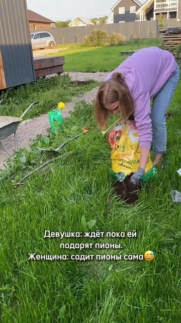 Сажаем пионы летом #shortvideo #цветы #сад #пионы #цветынадаче #садовод #садовыймир смотреть онлайн