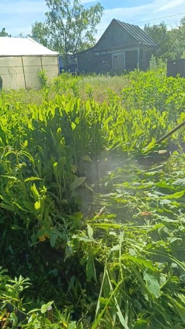 Триммер бензиновый Husqvarna 129LK смотреть онлайн