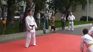 Техника каратэ Шотокан