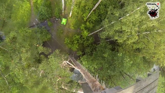 Say A A A! Дерево 10 июля 2016   34