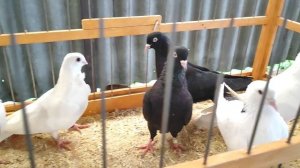 18.05.2025г ст.Бронницы ч.1