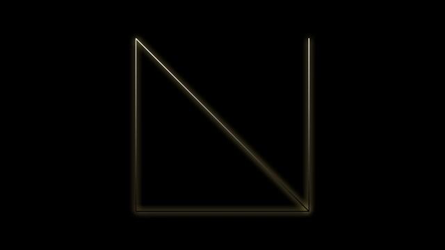 White Fox Music - Space Birds