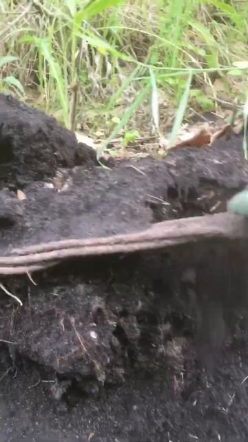 Как найти металл без копа смотреть онлайн