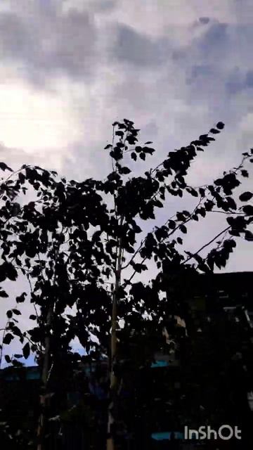 ветер 📗🦉 добрых перемен