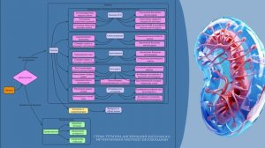 Видео лекция Фундамент здоровья обшая