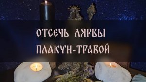 ОТСЕЧЬ ЛЯРВЫ ПЛАКУН-ТРАВОЙ. СИЛЬНЫЙ РИТУАЛ. ДЛЯ ВСЕХ ▴ ВЕДЬМИНА ИЗБА. ИНГА ХОСРОЕВА