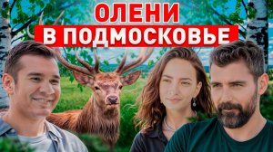 Бросил ВСЕ и завёл диких оленей — НЕ пожалел! Как начать фермерский бизнес без инвестиций