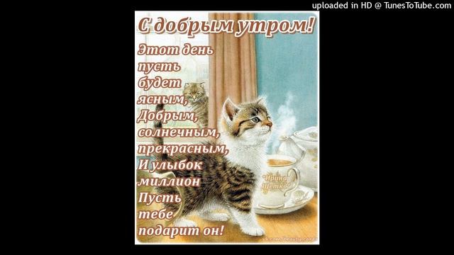 Вова Инчин — Где моя шиза