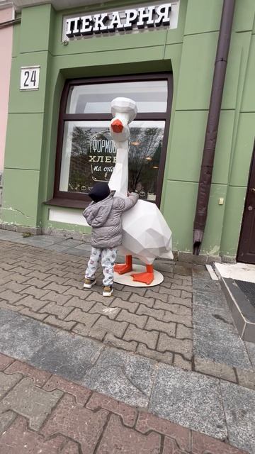 Володя и гусь возле кафе на Муравьева-Амурского, 24. Г. Хабаровск смотреть онлайн