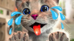 Забавная игра по уходу за питомцами — Приключения Котёнка