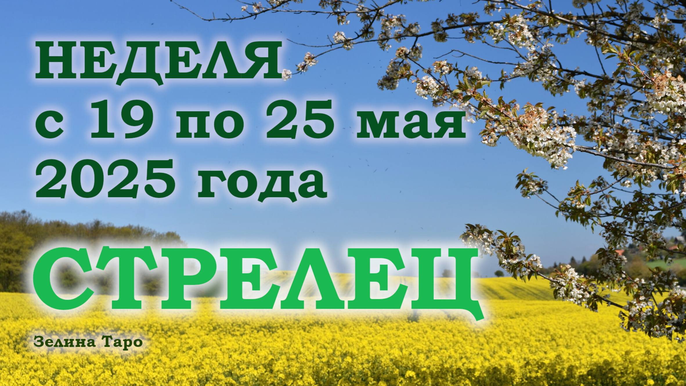 СТРЕЛЕЦ | ТАРО прогноз на неделю с 19 по 25 мая 2025 года
