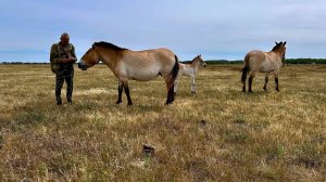 Заповедник "Аскания-Нова" Индивидуальная экскурсия с персональным гидом.
