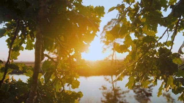 ц. Ковчег. Милость спасла