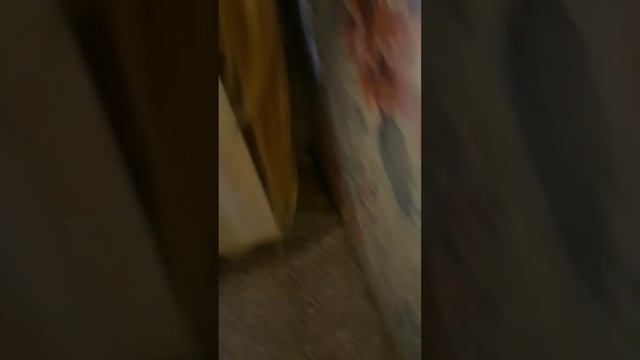 Читать учат смотреть онлайн