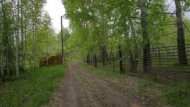 1000057850.mp4 смотреть онлайн
