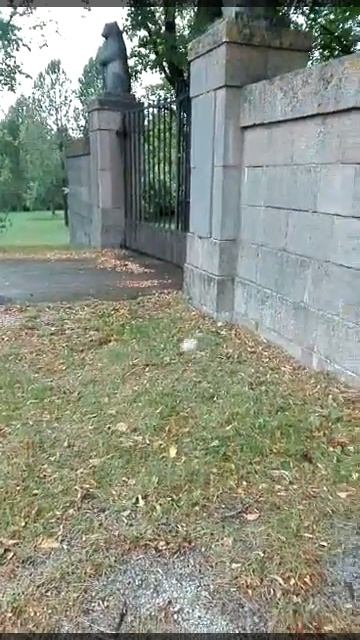 Порхающий камень