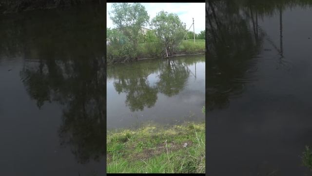 Первая рыбка #automobile #travel #invatravel смотреть онлайн