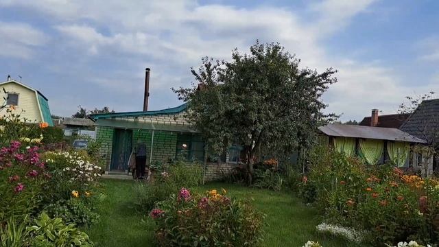 17.08.2024. Цветут георгины. смотреть онлайн