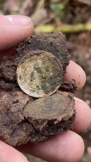 Находка за находкой! Вот так хутор в лесу… Поиск с мет? смотреть онлайн