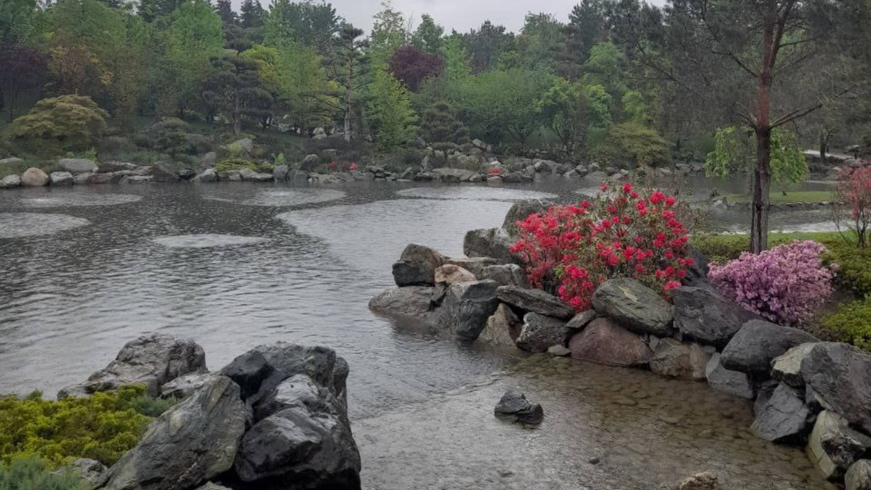 Отдых после выгорания