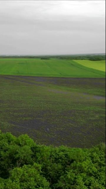 Песня GPX-5000 смотреть онлайн